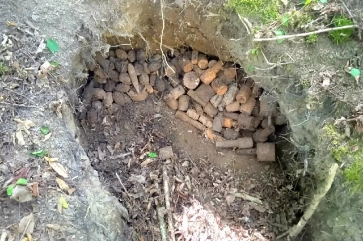    В Туапсинском районе обезвредили арсенал боеприпасов времен ВОВ