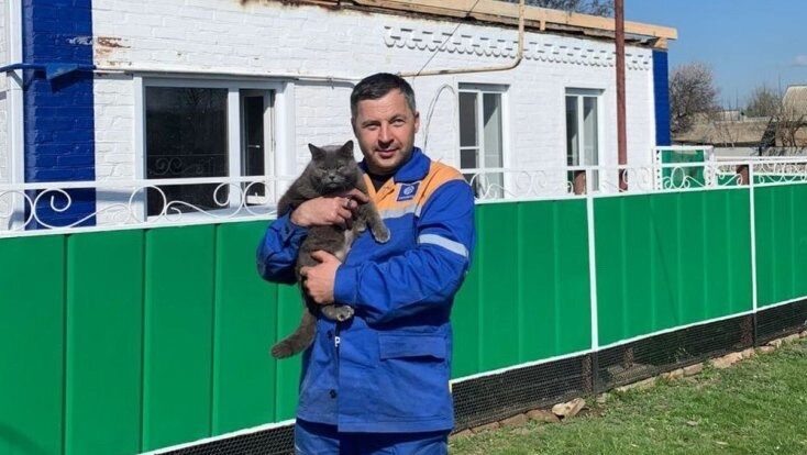    Кошка Марфа, которая спасла хозяев. Фото: «Российская газета»