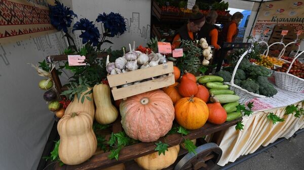    © Sputnik / Виктор Толочко