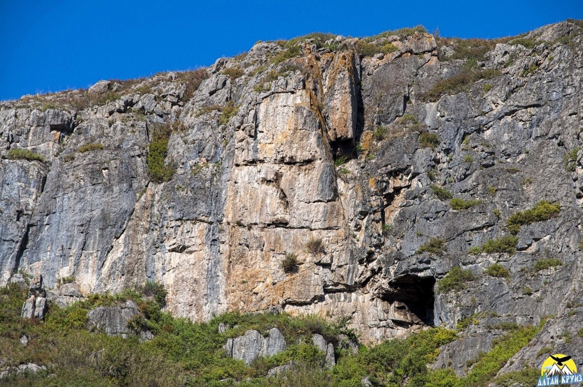 Источник https://vk.com/wall-41116567_442439 (Автор фото: Евгения Бажова)