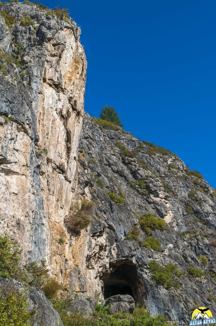 Источник https://vk.com/wall-41116567_442439 (Автор фото: Евгения Бажова)