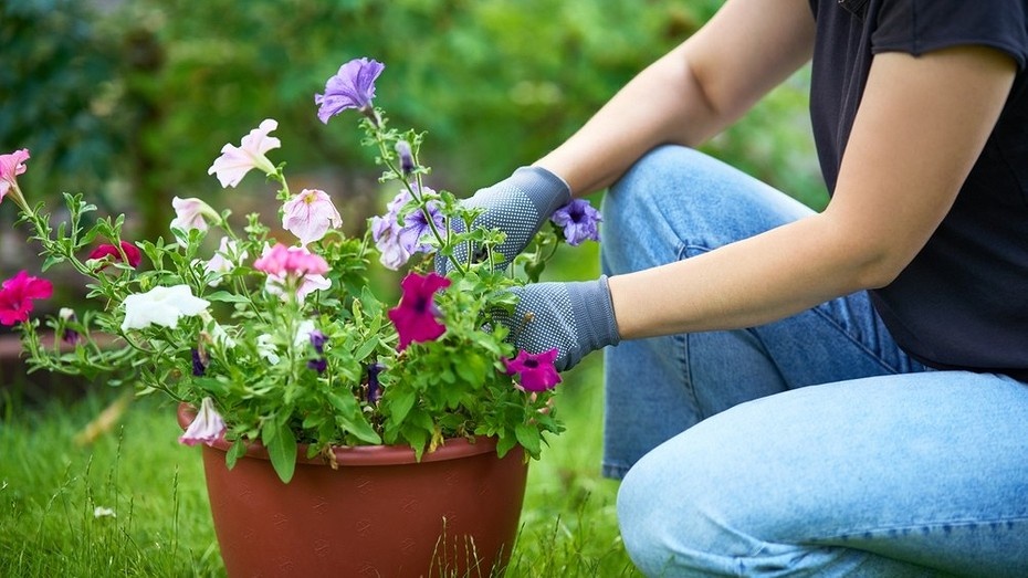 ShutterStock/Fotodom.ru 