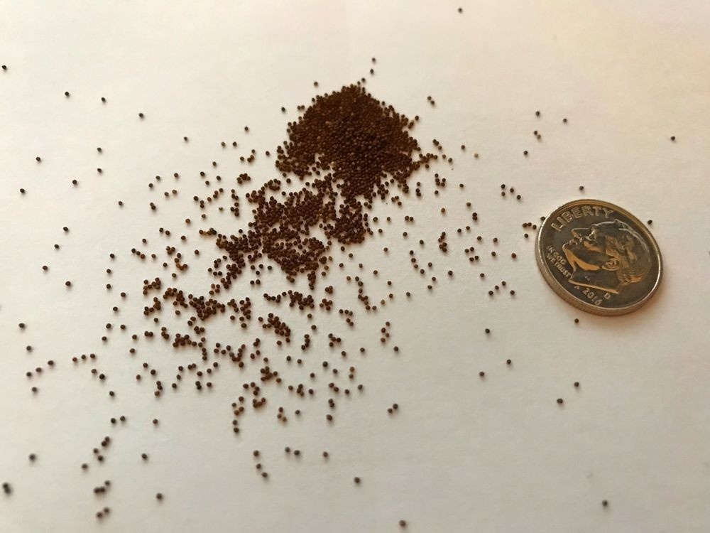    ShutterStock/Fotodom.ru