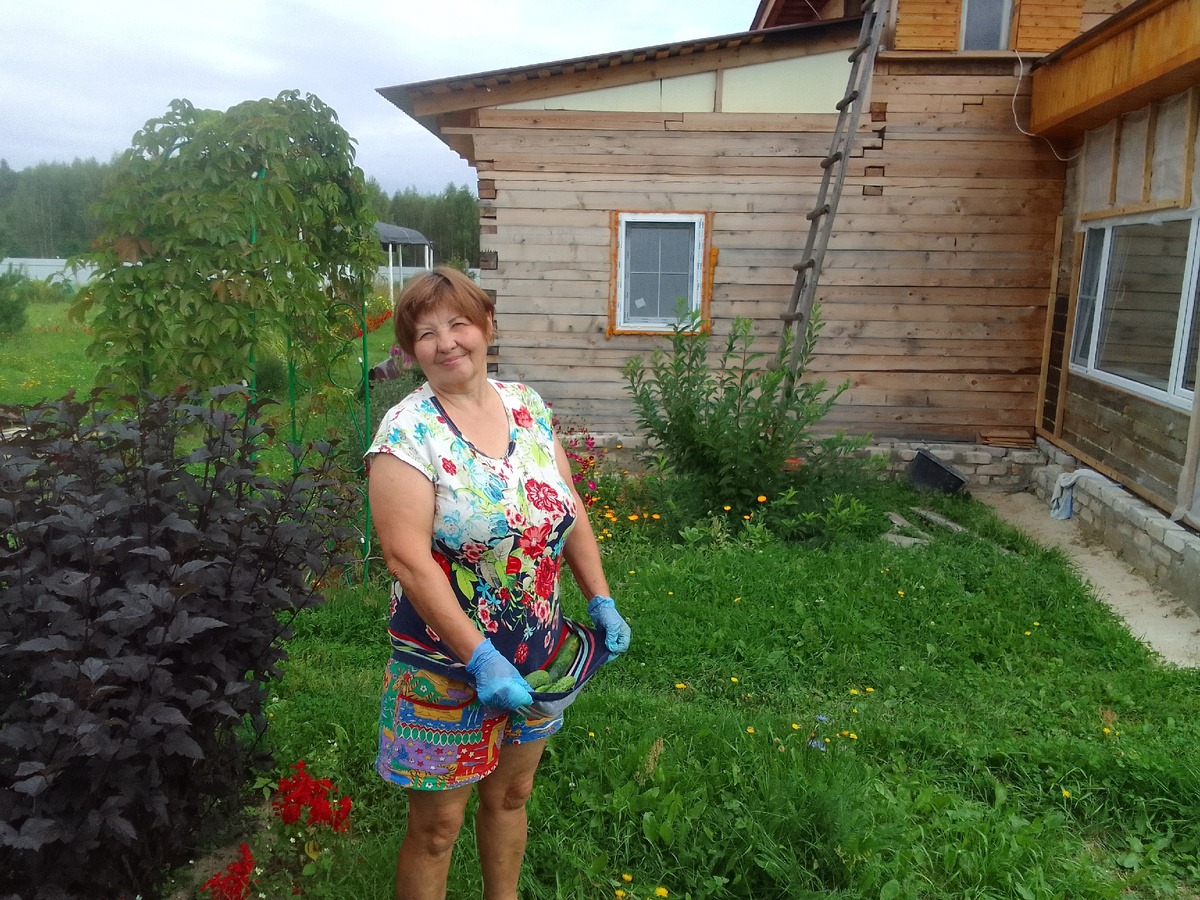 Принесла в подоле. Теперь уразумила, для чего бабушке в огороде фартук был нужен. 