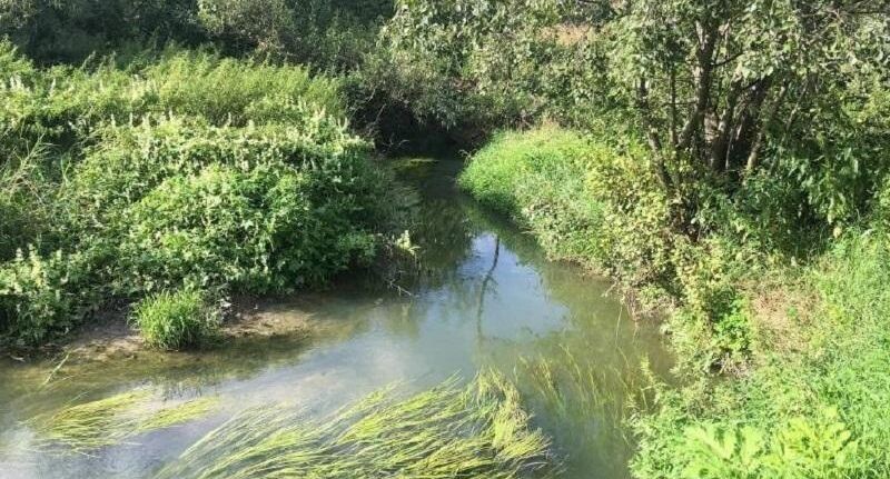    Минэкологии МО.