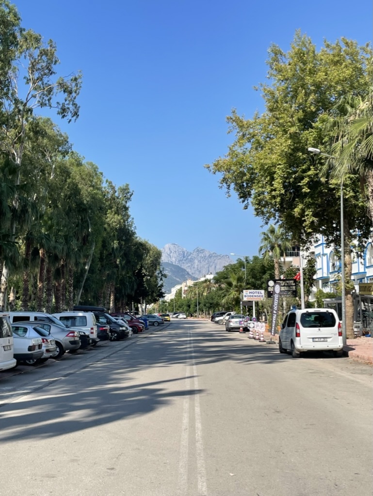 Жилые кварталы с видом на горы.