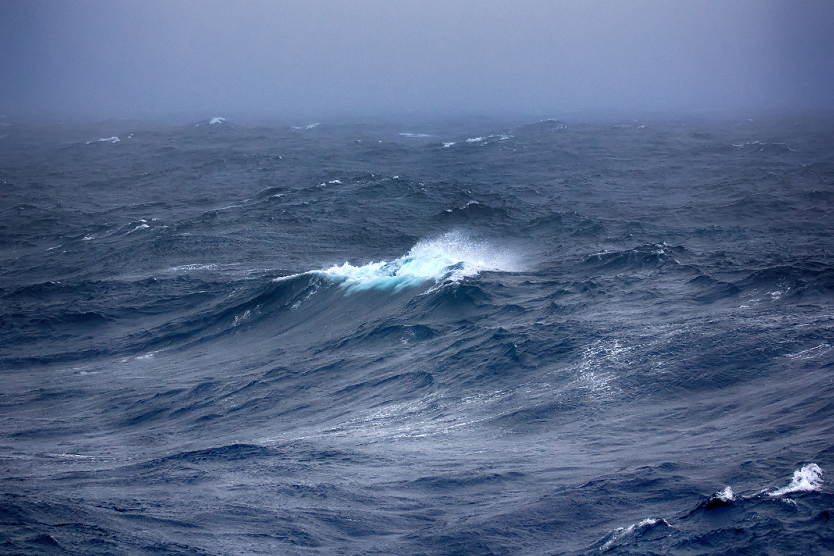 Фото: Maximillian cabinet/Shutterstock/Fotodom