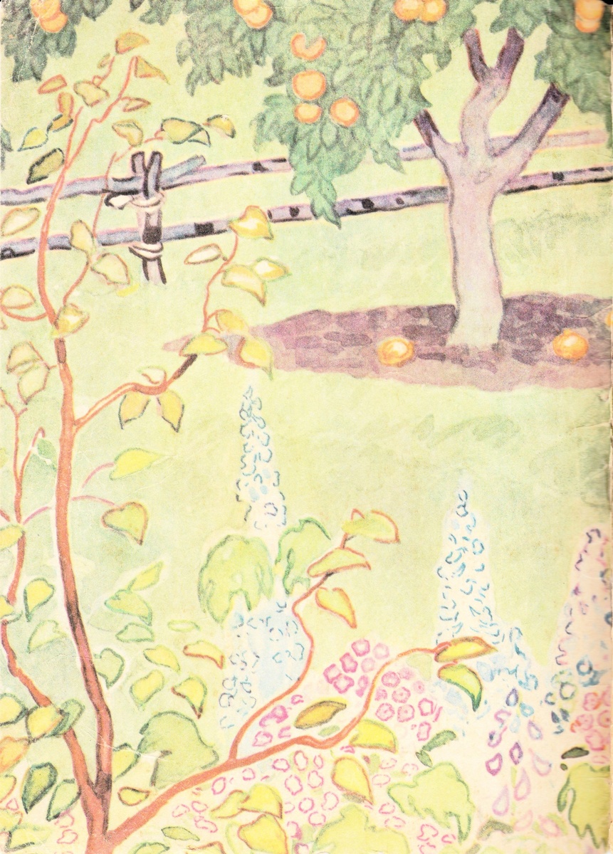 Форзац (оборот обложки)