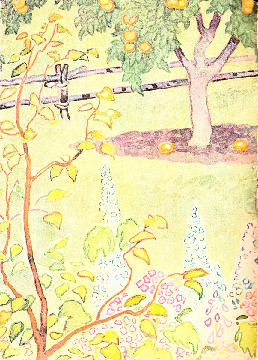 Форзац (оборот обложки)