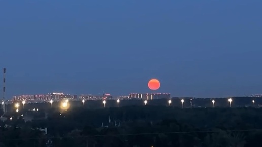 Похождения осетровой луны 🌕