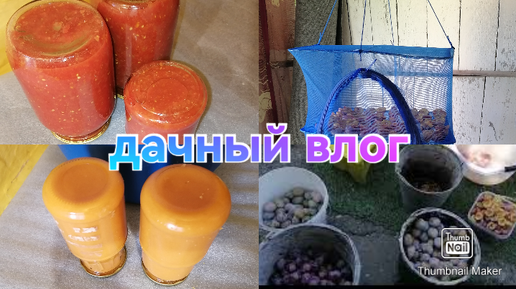 Домашние заготовки на зиму / Дачный влог