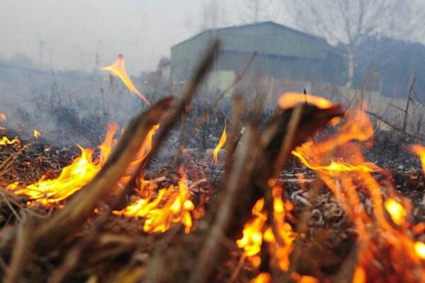    Фото: пресс-служба Администрации и городской Думы Новороссийска