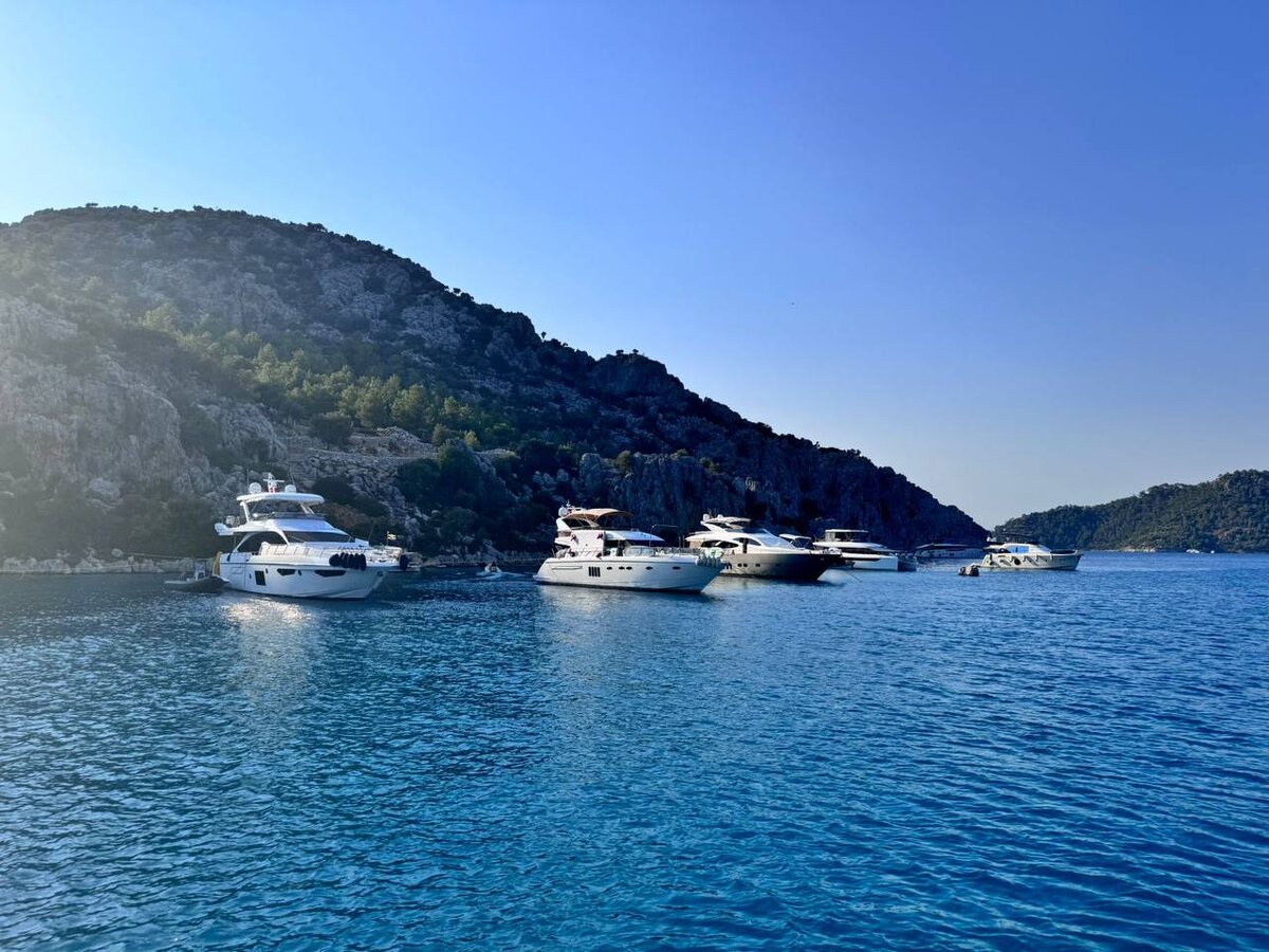 Фото: соцсети