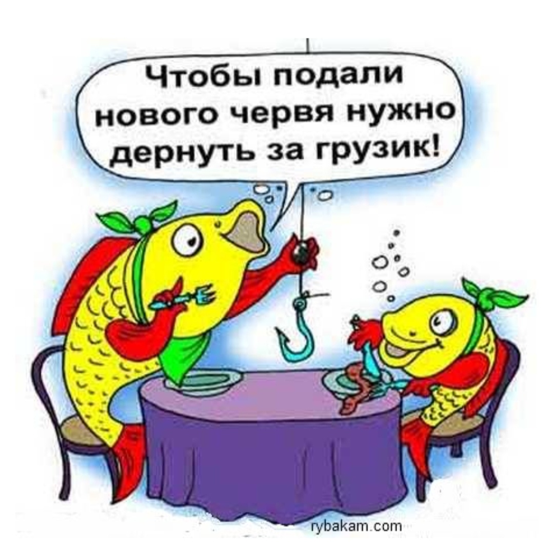 Из интернета