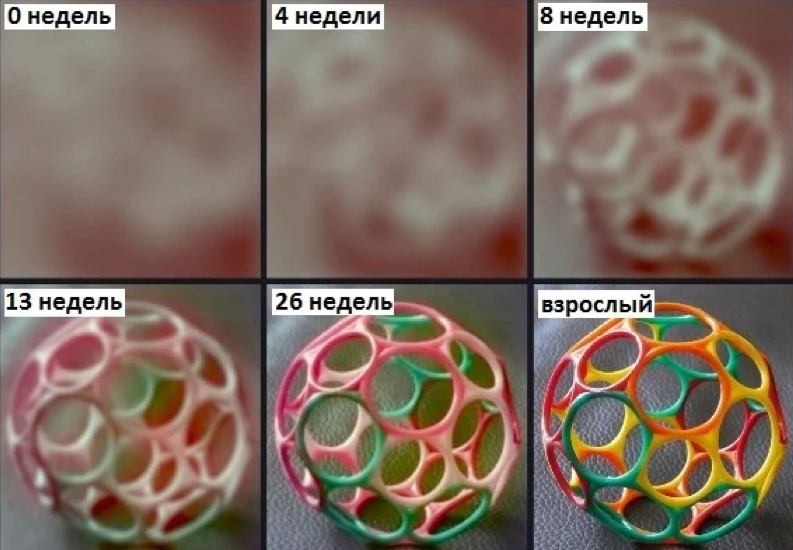 Развитие зрения у младенца