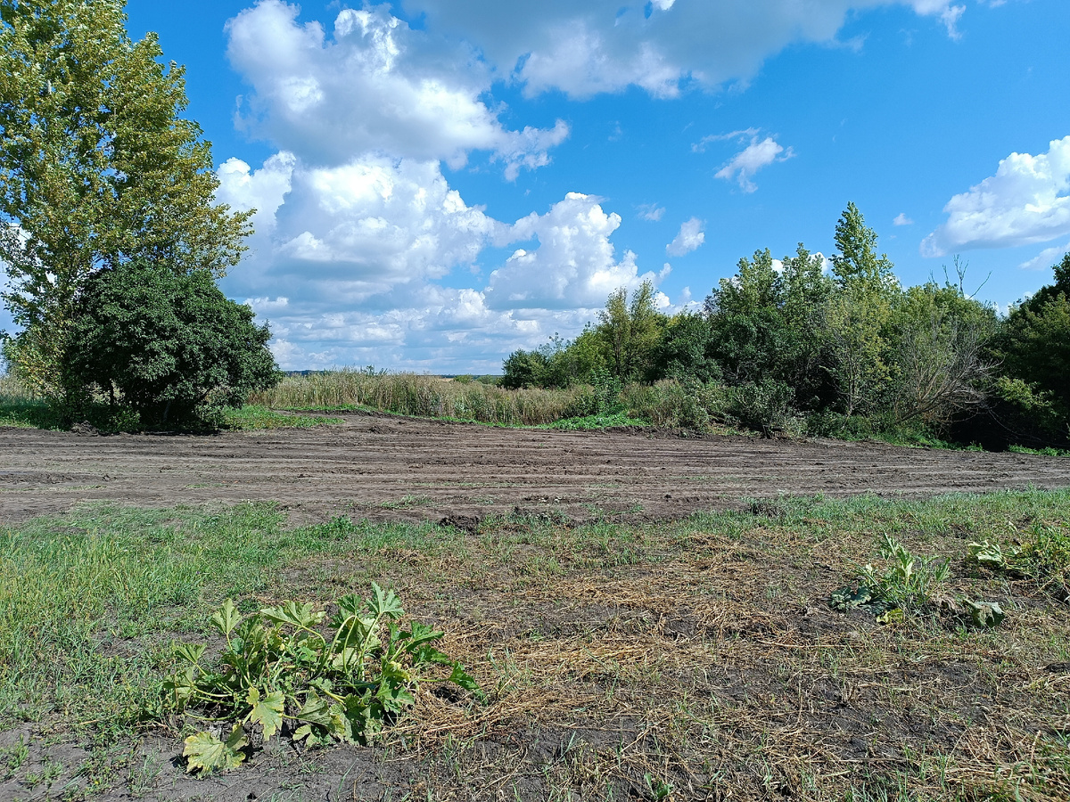 Вот там, ниже тополя и тëрна и была яма для мусора (от погреба соседского), теперь всë ровненько! Косить теперь будет удобно 😃