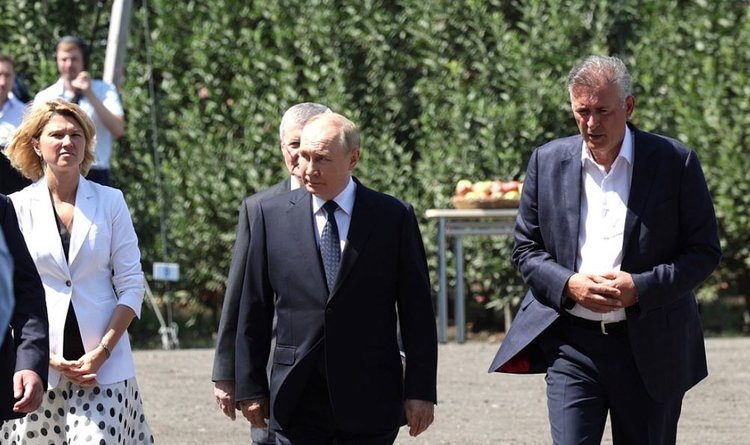   Владимиру Путину показали урожайную голубику и яблони в крупном садоводческом хозяйстве «Агро 07»