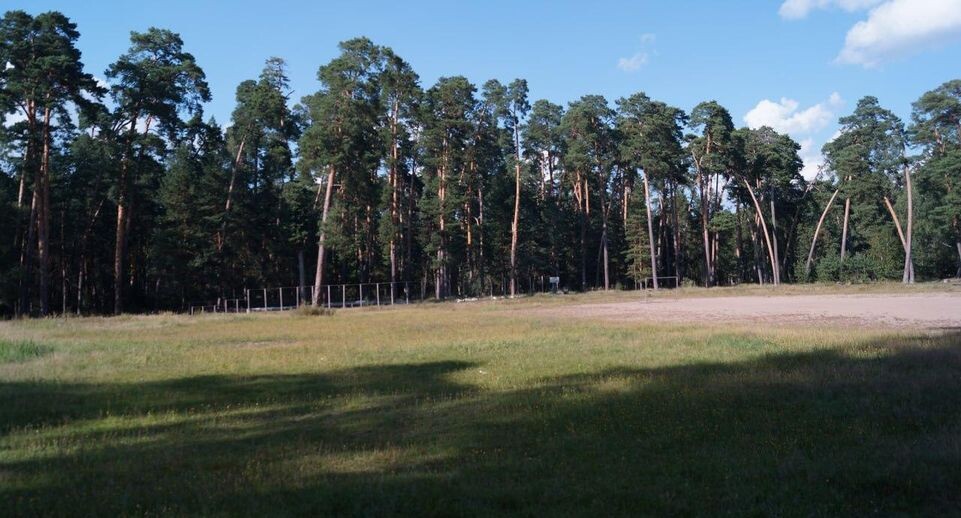    Комитет лесного хозяйства Московской области