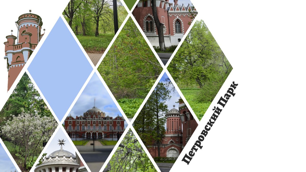 Наше видение Петровского парка