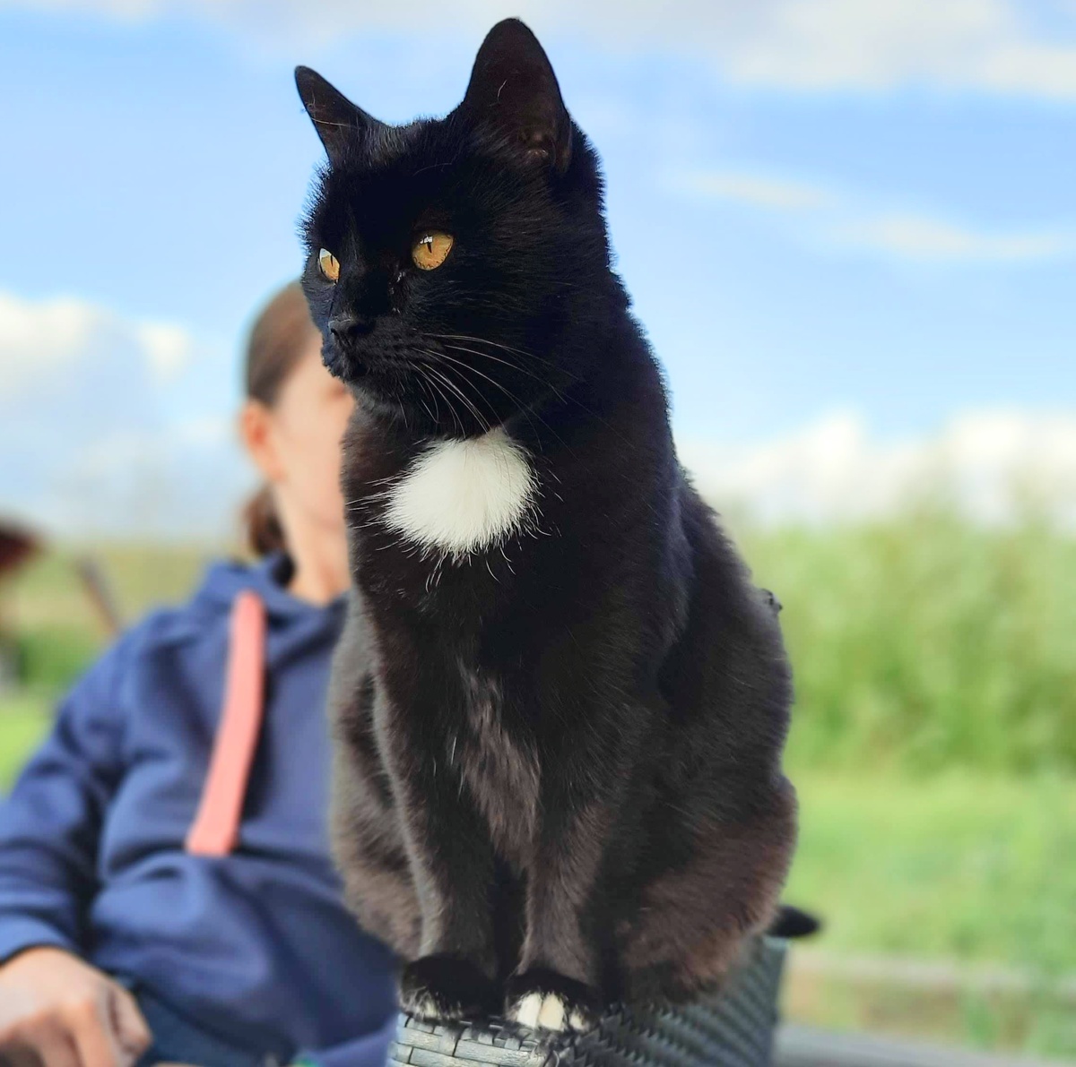 Всегда рядом