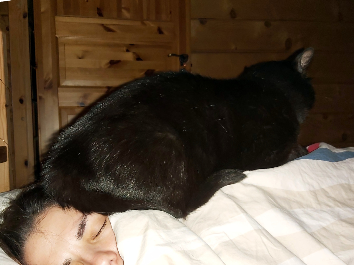 Иногда бывает и так. Но я не сержусь )