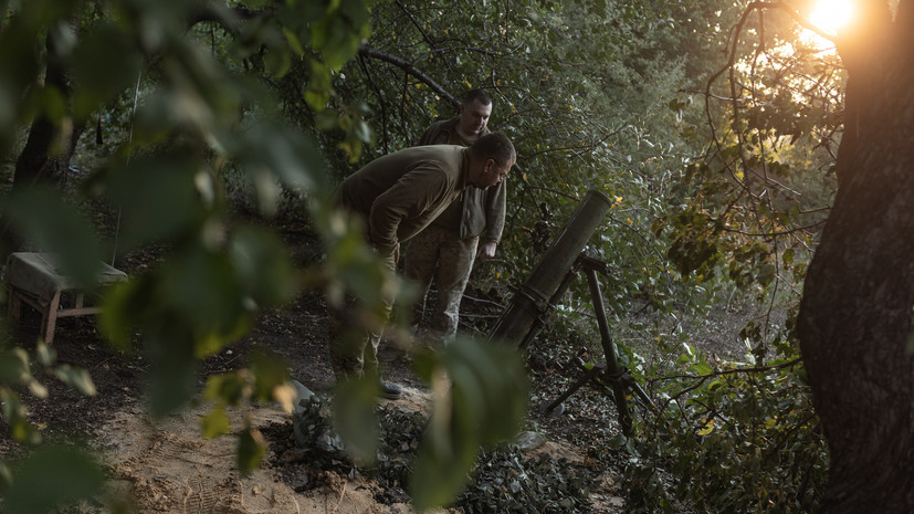   Gettyimages.ru Anadolu