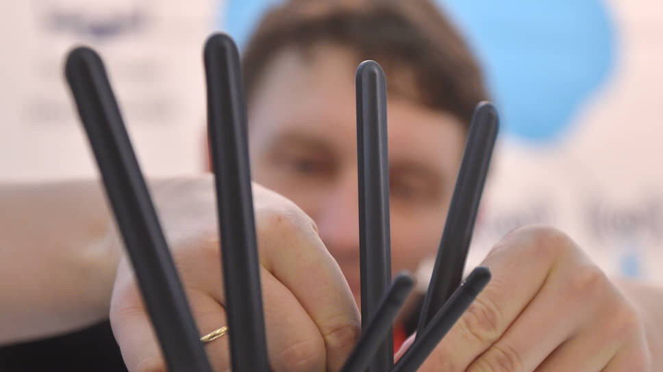    Фото: Анатолий Жданов / Коммерсантъ