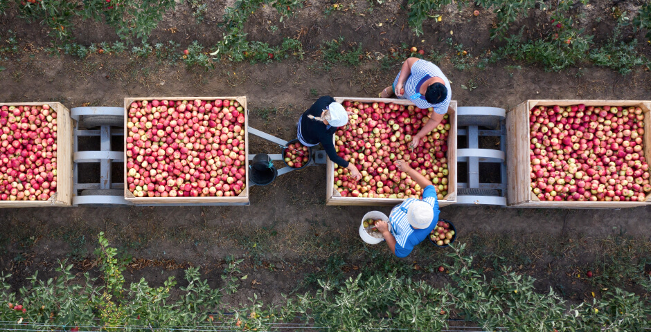 Фото: Сергей Мальгавко/ТАСС