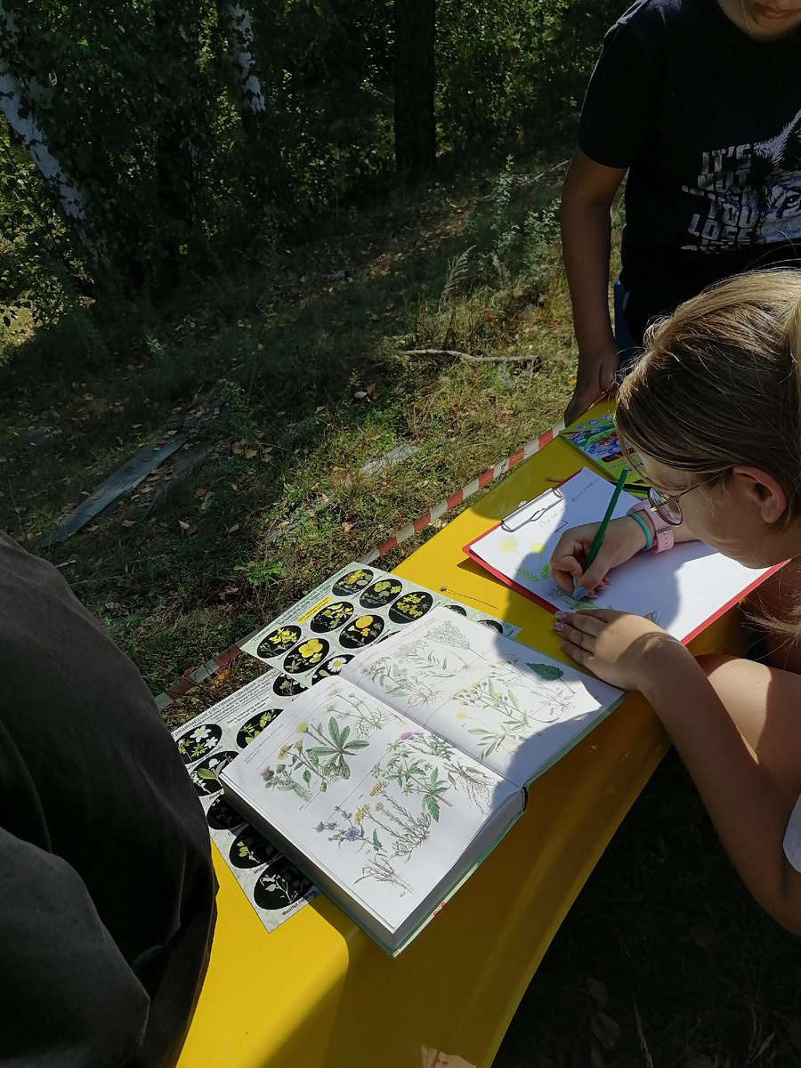 Работаем с определительями 