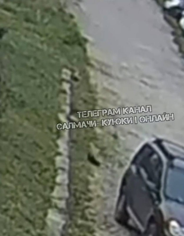    Фото: социальные сети