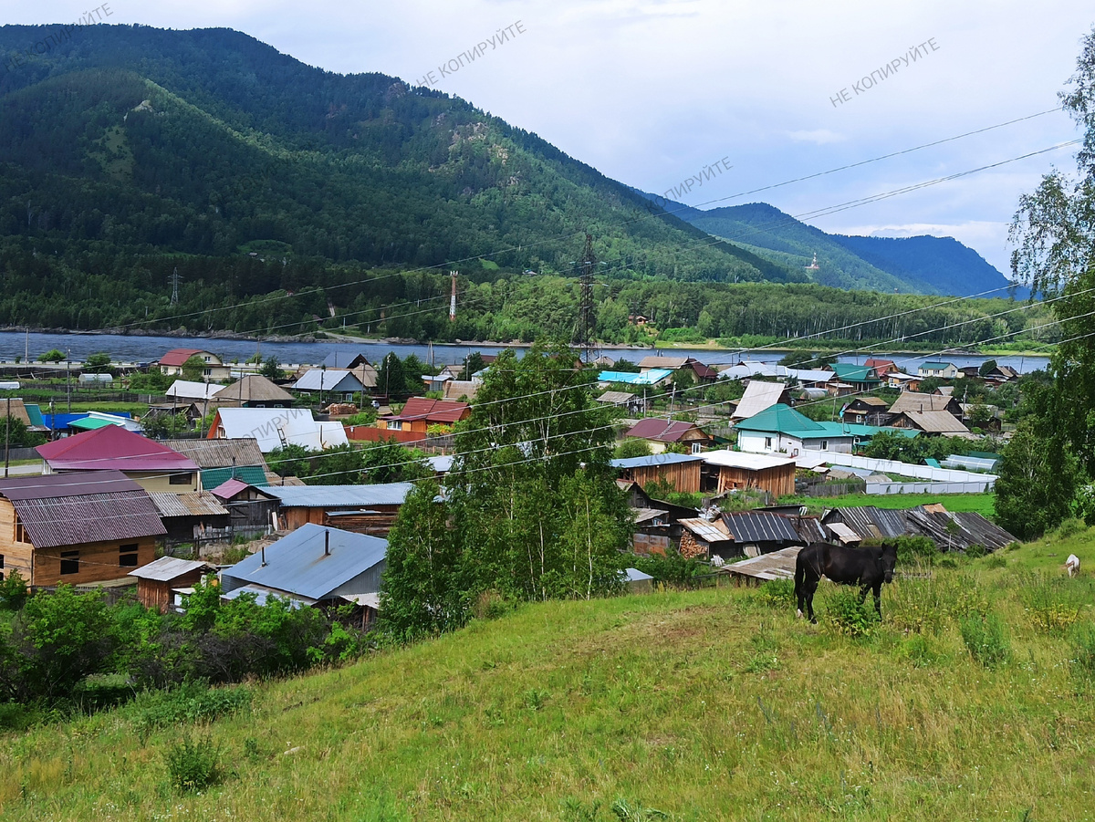 Фото автора.