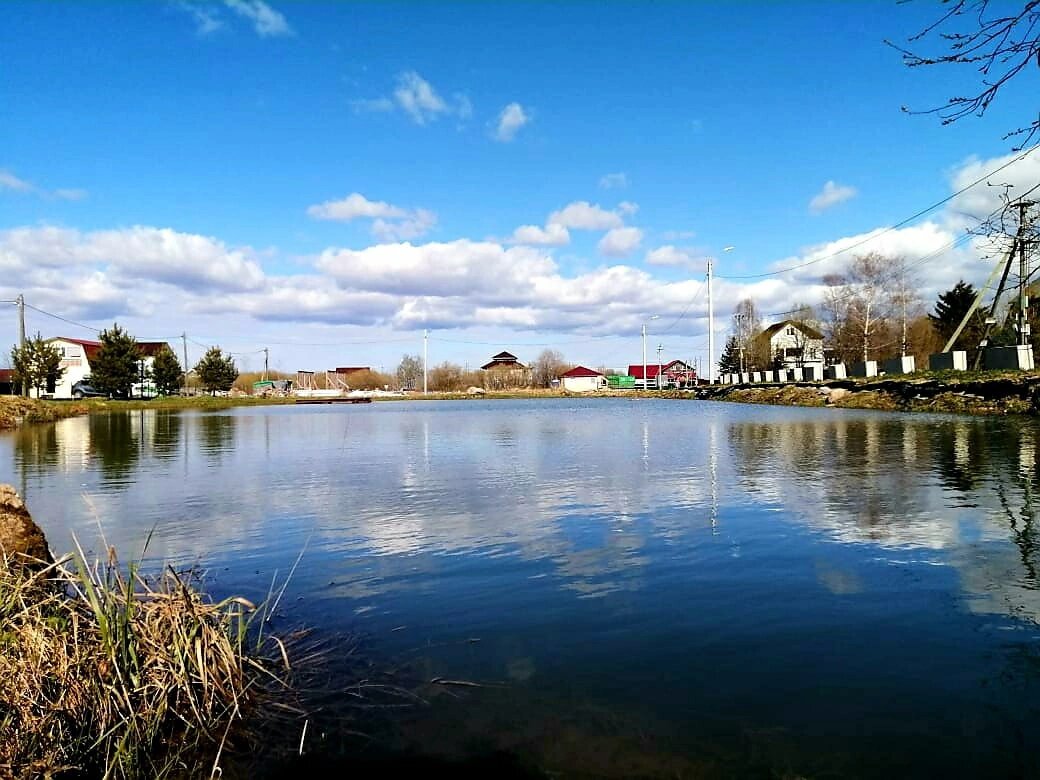 Наш пруд в посёлке.