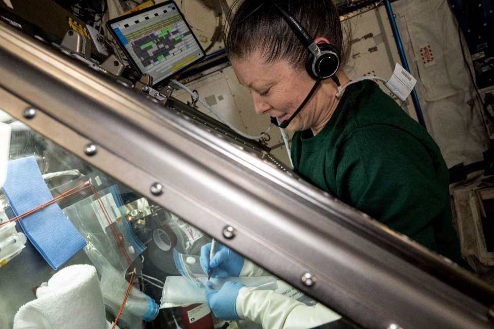 Трейси Колдвелл-Дайсон работает с перчаточным боксом LSG в ЭМ Kibo. Фото: nasa.blog.com