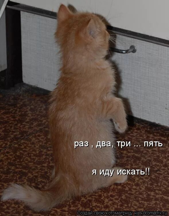 источник Яндекс-картинки