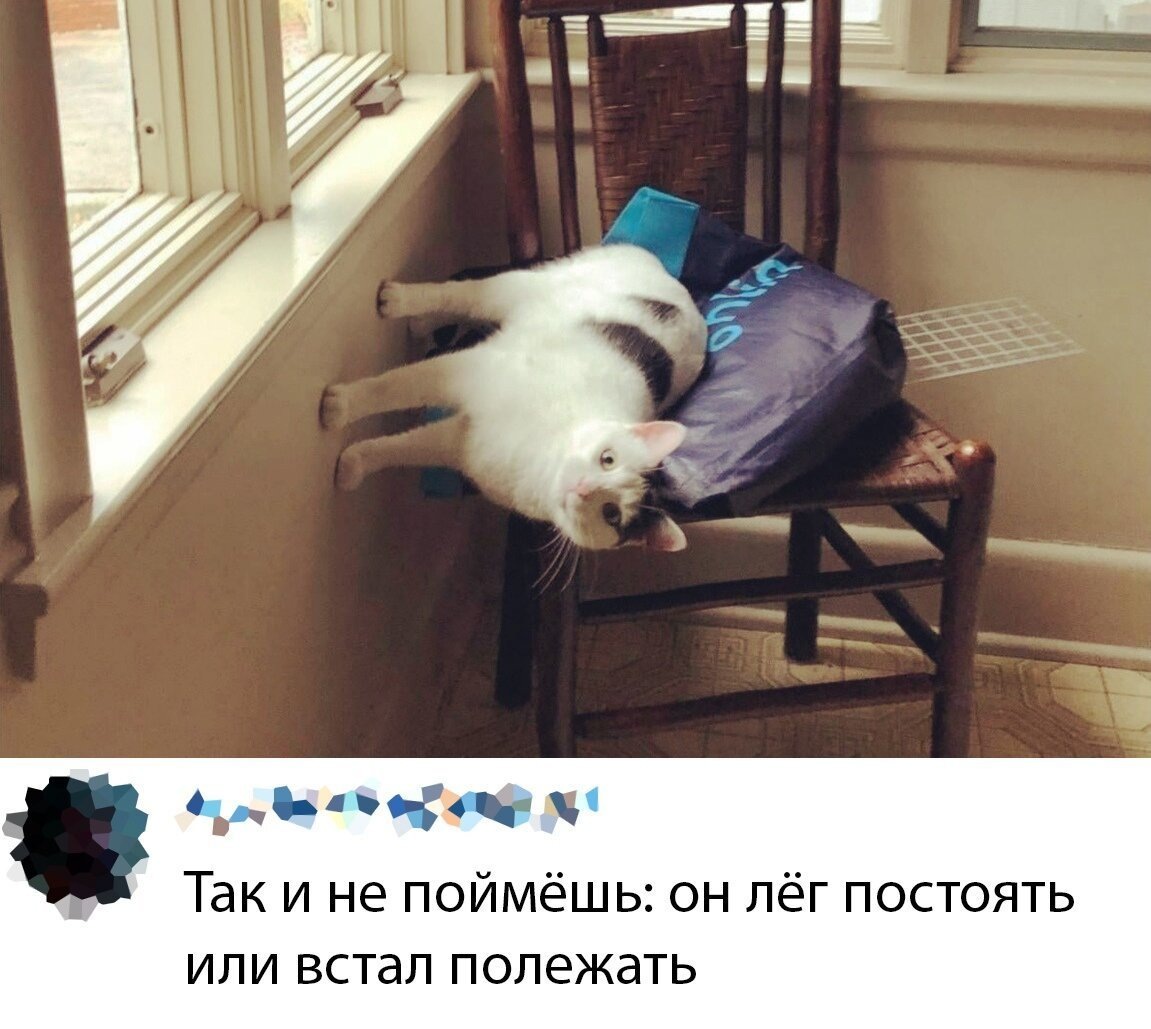 источник Яндекс-картинки