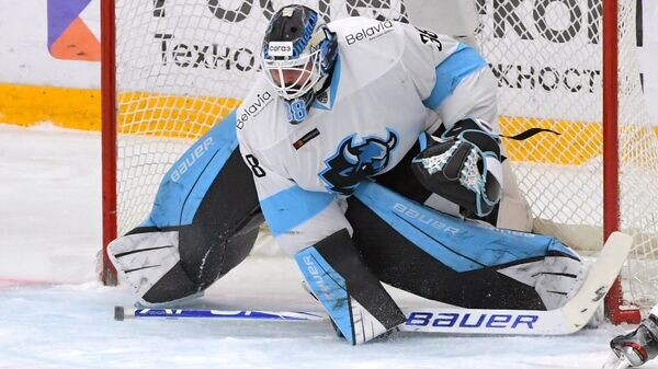    © Sputnik / Сергей Гунеев