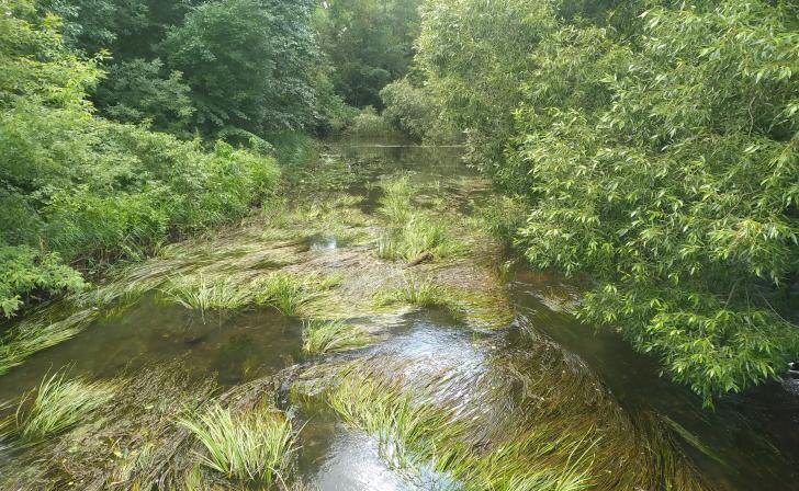    фото Курские известия