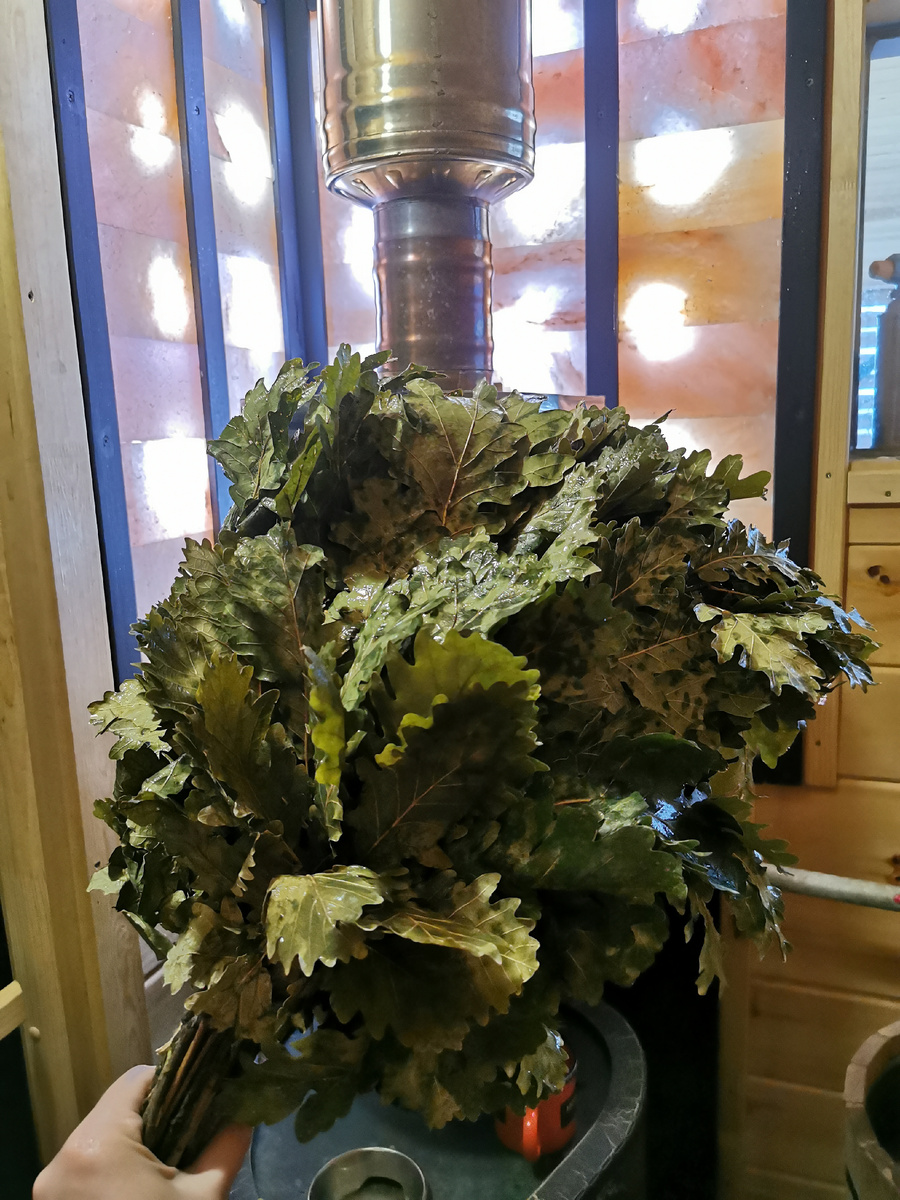 Шикарный дубовый веник. 