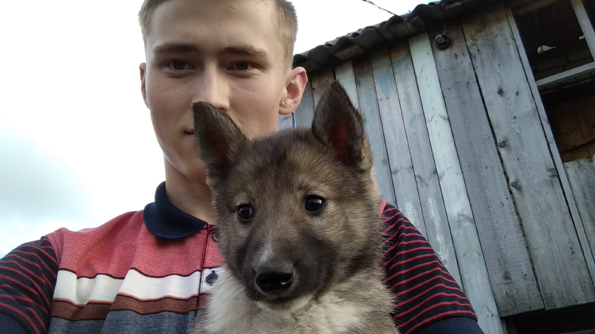 А это уже второй кандидат 