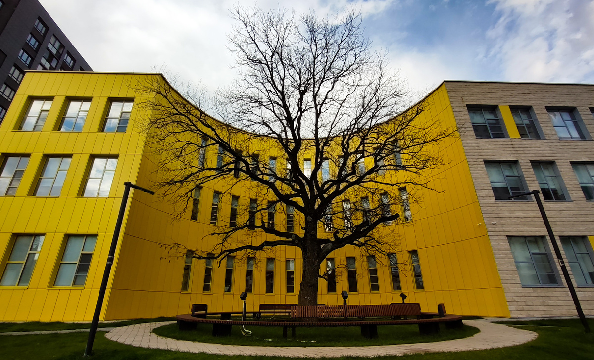 Фото автора для привлечения внимания. 