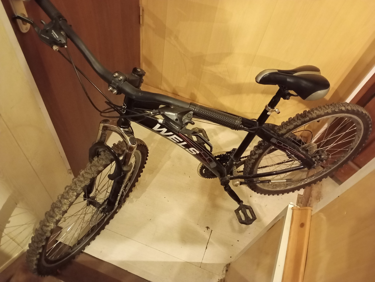 Велосипед. Почти как мотоцикл, только без двигателя