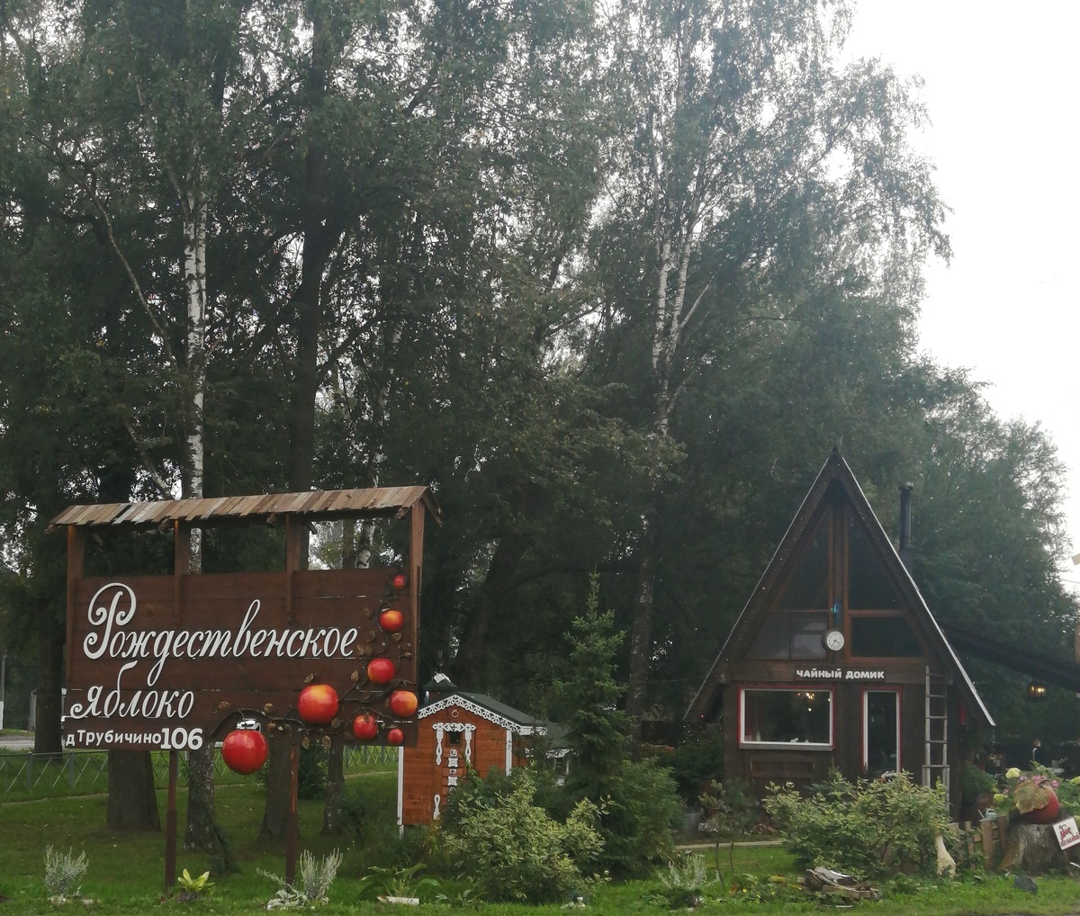 Великий Новгород, д. Трубичино, 106. "Рождественское яблоко"