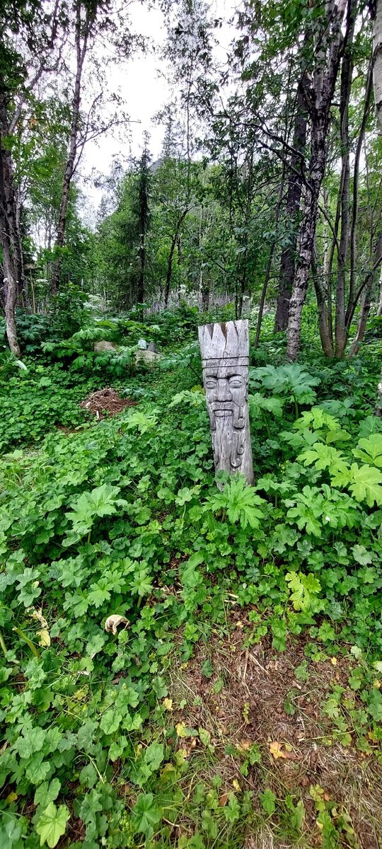 парк ботанического сада