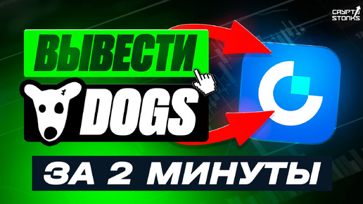 Как вывести DOGS на биржу Gate.io - Пошаговая инструкция