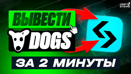 Как вывести DOGS на биржу Bitget - Пошаговая инструкция