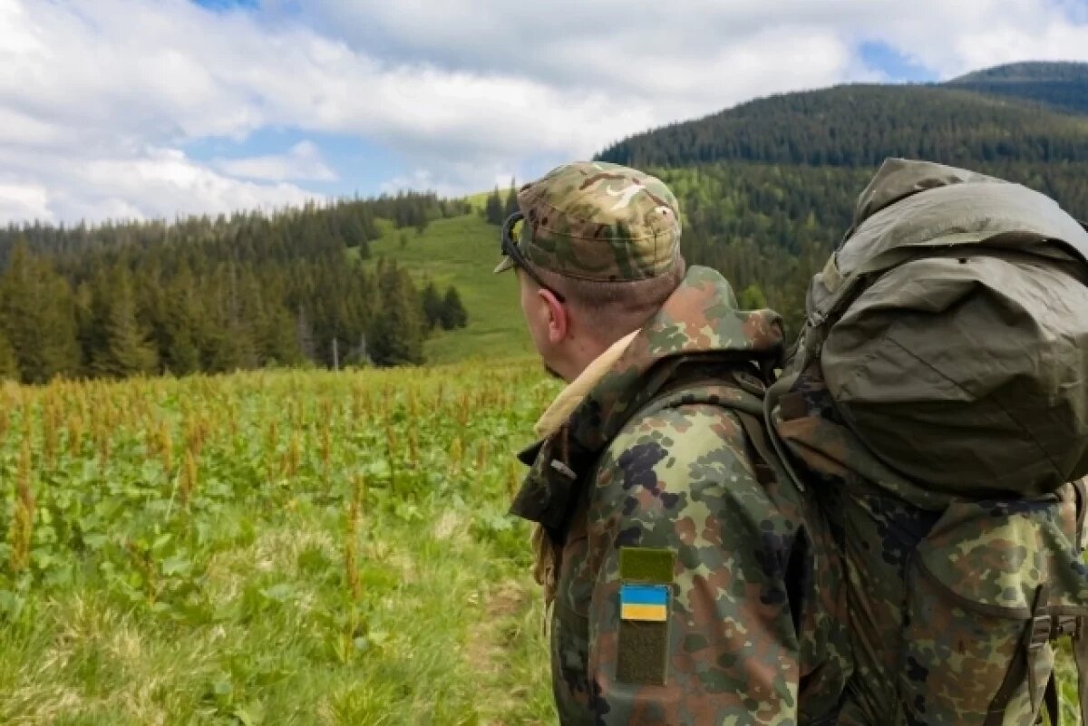    «Больше нет войск».