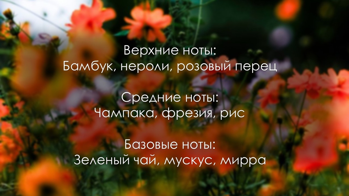 Источник фона для коллажа: unsplash.com