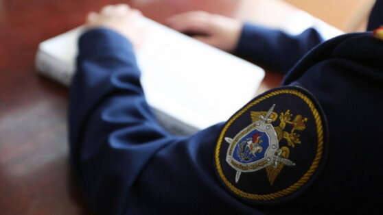    Следственный комитет возбудил в Петербурге дело о превышении полномочий полицейскими Егор Гордеев