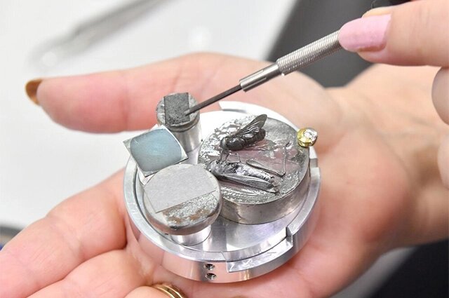    День открытых дверей в «Международной школе микроскопии» НИТУ «МИСиС» в рамках «Дня без турникетов». Фото: АГН Москва/ Сергей Киселев