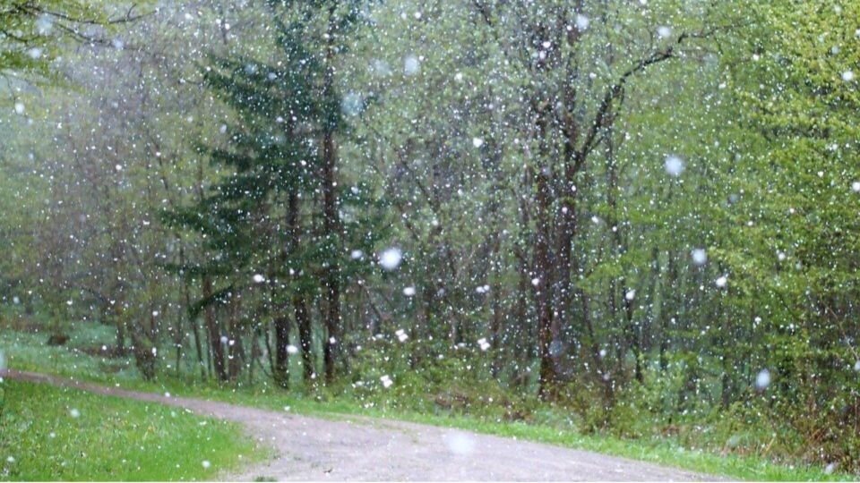    Сильный град прошелся по ленточным борам Алтайского края. Источник: pixabay.com